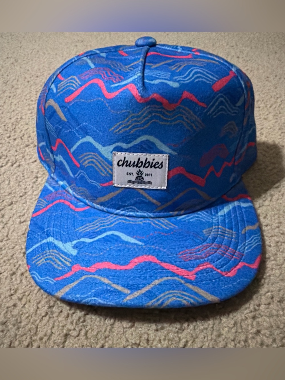 Chubbies Cap Hat The Big Sky Country Bright Blue Fleece Baseball Snapback NWOT